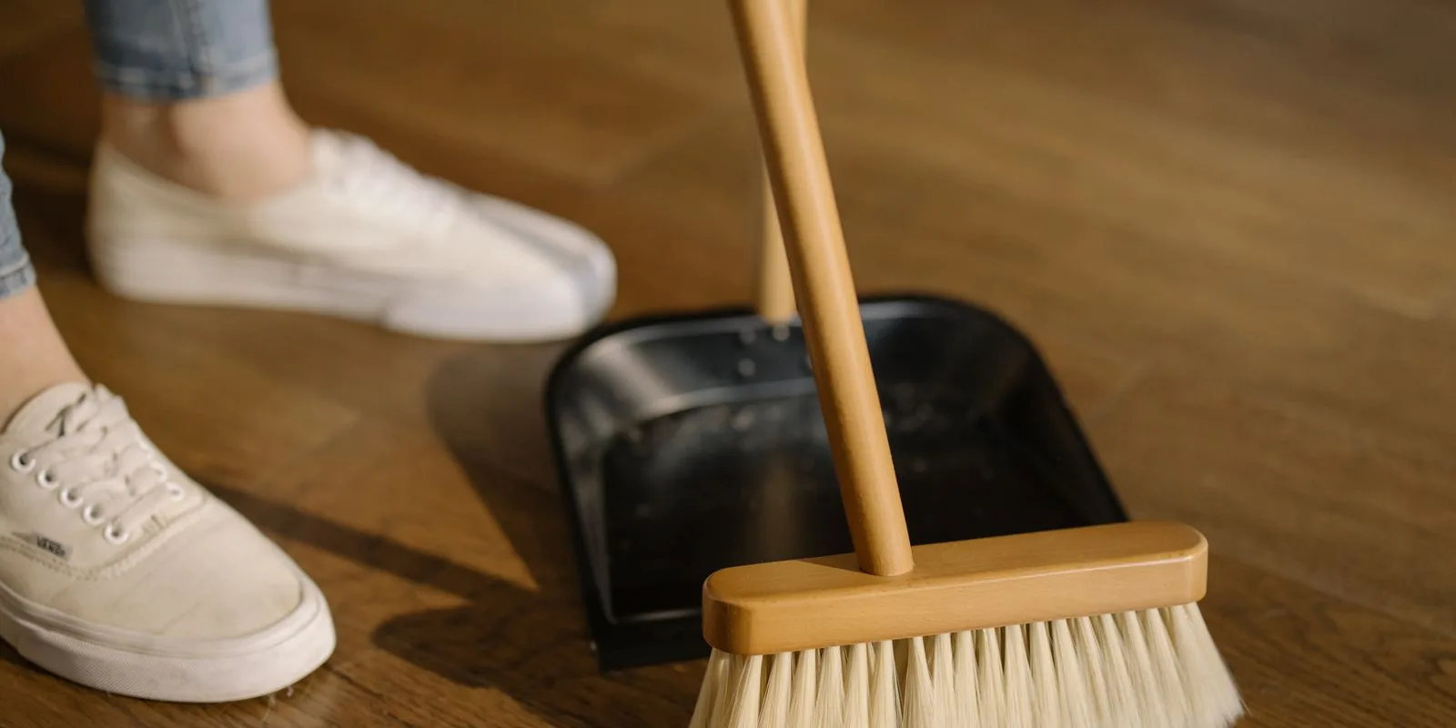 Mold and Bird Dropping Cleanup in Chandler